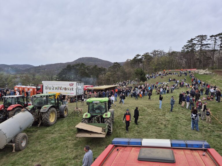 PHOTO-2025-04-13-14-50-58