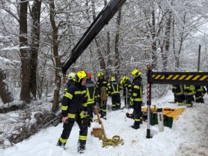 PHOTO-2026-02-20-10-44-18