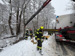 PHOTO-2026-02-20-10-44-18_1