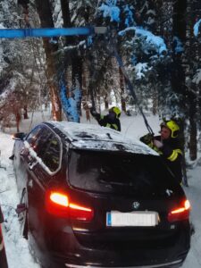 PHOTO-2026-02-20-17-58-35_1