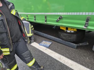 PHOTO-2026-03-26-09-08-22