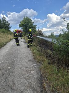 PHOTO-2026-07-18-17-25-53_1