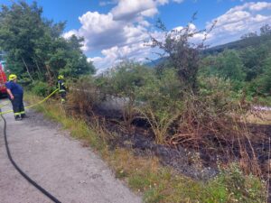 PHOTO-2026-07-18-17-26-01